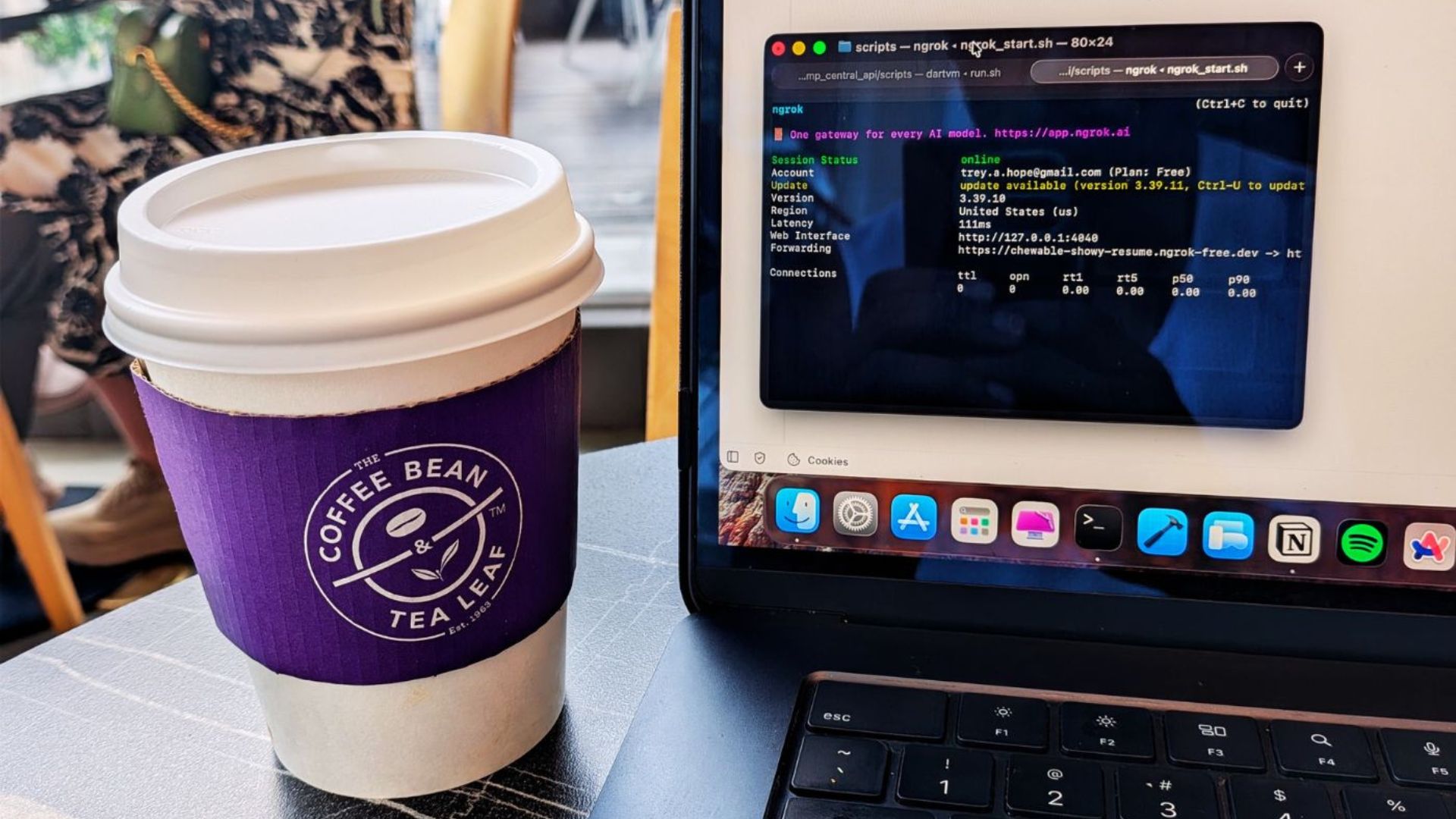 Using ngrok to Test Local APIs on Physical Devices